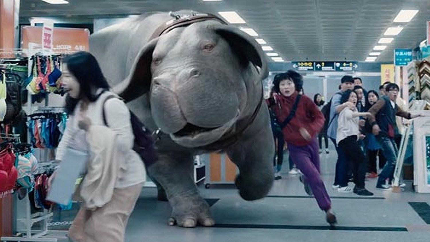 Okja 3